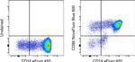 CD86 (B7-2) Monoclonal Antibody (IT2.2), NovaFluor™ Blue 800, eBioscience™