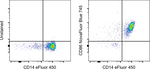 CD86 (B7-2) Monoclonal Antibody (IT2.2), NovaFluor™ Blue 745, eBioscience™