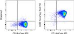 CD86 (B7-2) Monoclonal Antibody (IT2.2), NovaFluor™ Red 755, eBioscience™