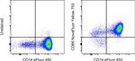 CD86 (B7-2) Monoclonal Antibody (IT2.2), NovaFluor™ Yellow 755, eBioscience™