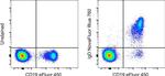 Human IgD Antibody in Flow Cytometry (Flow)