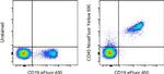 CD40 Monoclonal Antibody (5C3), NovaFluor™ Yellow 690, eBioscience™