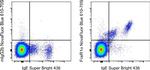 FceR1 alpha Monoclonal Antibody (AER-37 (CRA1)), NovaFluor™ Blue 610-70S, eBioscience™