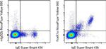 FceR1 alpha Monoclonal Antibody (AER-37 (CRA1)), NovaFluor™ Yellow 660, eBioscience™