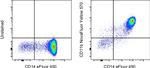 CD11b Monoclonal Antibody (ICRF44), NovaFluor™ Yellow 570, eBioscience™