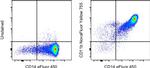 CD11b Antibody in Flow Cytometry (Flow)
