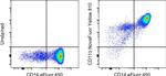 CD11b Antibody in Flow Cytometry (Flow)