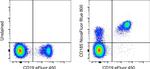 CD185 (CXCR5) Monoclonal Antibody (MU5UBEE), NovaFluor™ Blue 800, eBioscience™