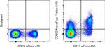 CD200 Monoclonal Antibody (OX104), NovaFluor™ Yellow 610, eBioscience™