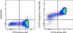CD157 Monoclonal Antibody (eBioSY11B5 (SY11B5)), NovaFluor™ Yellow 590, eBioscience™