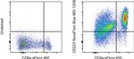 CD223 (LAG-3) Monoclonal Antibody (3DS223H), NovaFluor™ Blue 660-120S, eBioscience™