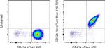 CD42b Monoclonal Antibody (HIP1), NovaFluor™ Blue 610-70S, eBioscience™