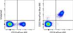 CD22 Monoclonal Antibody (eBio4KB128 (4KB128)), NovaFluor™ Blue 690, eBioscience™