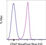 CD47 Monoclonal Antibody (2D3), NovaFluor™ Blue 510, eBioscience™