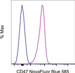 CD47 Monoclonal Antibody (2D3), NovaFluor™ Blue 585, eBioscience™