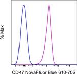 CD47 Monoclonal Antibody (2D3), NovaFluor™ Blue 610-70S, eBioscience™