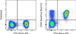 CD43 Monoclonal Antibody (eBio84-3C1 (84-3C1)), NovaFluor™ Blue 510, eBioscience™