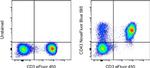 CD43 Monoclonal Antibody (eBio84-3C1 (84-3C1)), NovaFluor™ Blue 585, eBioscience™