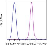 HLA-A2 Monoclonal Antibody (BB7.2), NovaFluor™ Blue 610-70S, eBioscience™