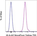 HLA-A2 Monoclonal Antibody (BB7.2), NovaFluor™ Yellow 755, eBioscience™