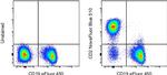 CD2 Antibody in Flow Cytometry (Flow)