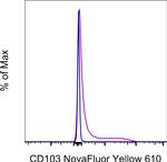 CD103 (Integrin alpha E) Monoclonal Antibody (B-Ly7), NovaFluor™ Yellow 610, eBioscience™