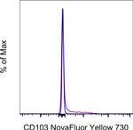 CD103 (Integrin alpha E) Monoclonal Antibody (B-Ly7), NovaFluor™ Yellow 730, eBioscience™