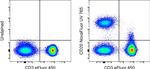 CD20 Antibody in Flow Cytometry (Flow)