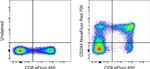 CD244 Monoclonal Antibody (eBioC1.7 (C1.7)), NovaFluor™ Red 700, eBioscience™