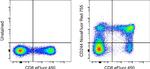 CD244 Monoclonal Antibody (eBioC1.7 (C1.7)), NovaFluor™ Red 755, eBioscience™
