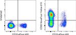 CD95 (APO-1/Fas) Monoclonal Antibody (DX2), NovaFluor™ Yellow 610, eBioscience™