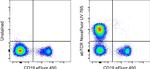 TCR alpha/beta Antibody in Flow Cytometry (Flow)