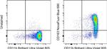 CD163 Monoclonal Antibody (MAC 2-158), NovaFluor™ Blue 690, eBioscience™