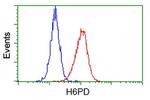 H6PD Antibody in Flow Cytometry (Flow)