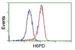 H6PD Antibody in Flow Cytometry (Flow)