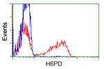 H6PD Antibody in Flow Cytometry (Flow)