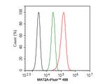 MAT2A Antibody in Flow Cytometry (Flow)