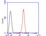 p50 dynamitin Antibody in Flow Cytometry (Flow)