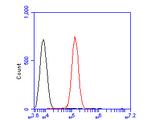 mGluR6 Antibody in Flow Cytometry (Flow)
