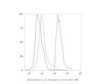 Monocarboxylic acid transporter 1 Antibody in Flow Cytometry (Flow)