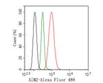AIM2 Antibody in Flow Cytometry (Flow)