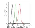 HNF1 alpha Antibody in Flow Cytometry (Flow)