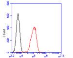 Osteopontin Antibody in Flow Cytometry (Flow)