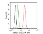 SOX17 Antibody in Flow Cytometry (Flow)