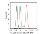 CacyBP Antibody in Flow Cytometry (Flow)