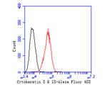 Cytokeratin 18 Antibody in Flow Cytometry (Flow)