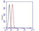IGF1R Antibody in Flow Cytometry (Flow)