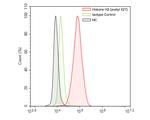 Histone H3 (acetyl K27) Antibody in Flow Cytometry (Flow)