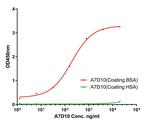 BSA Antibody in ELISA (ELISA)