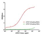BSA Antibody in ELISA (ELISA)